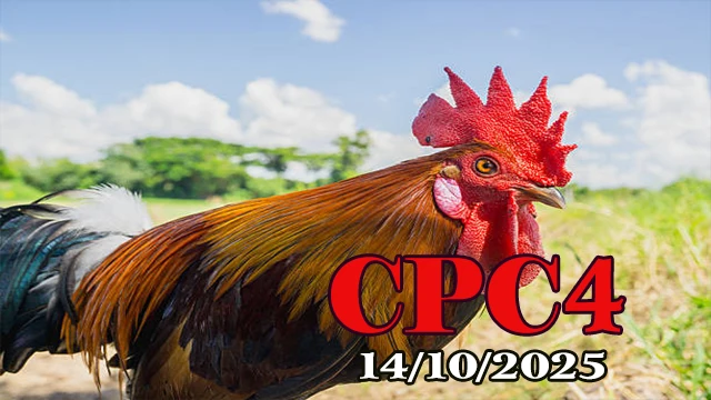 Full trận đá gà Campuchia C4 hôm nay 14/10/2025